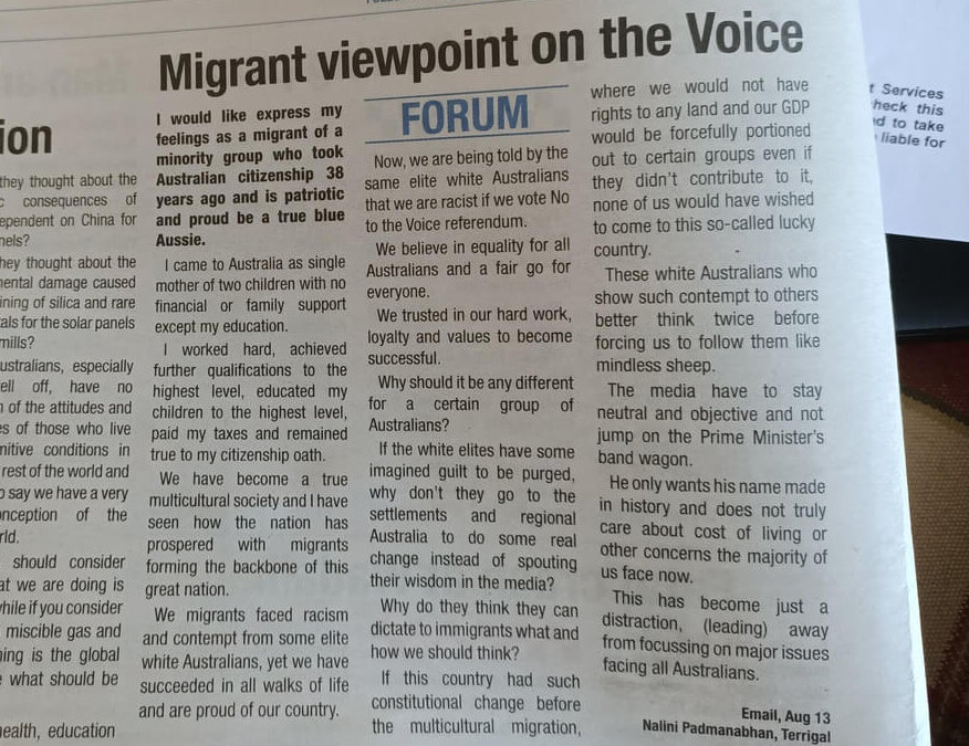 以一位移民的角度看Voice. Migrant Viewpoint on the Voice